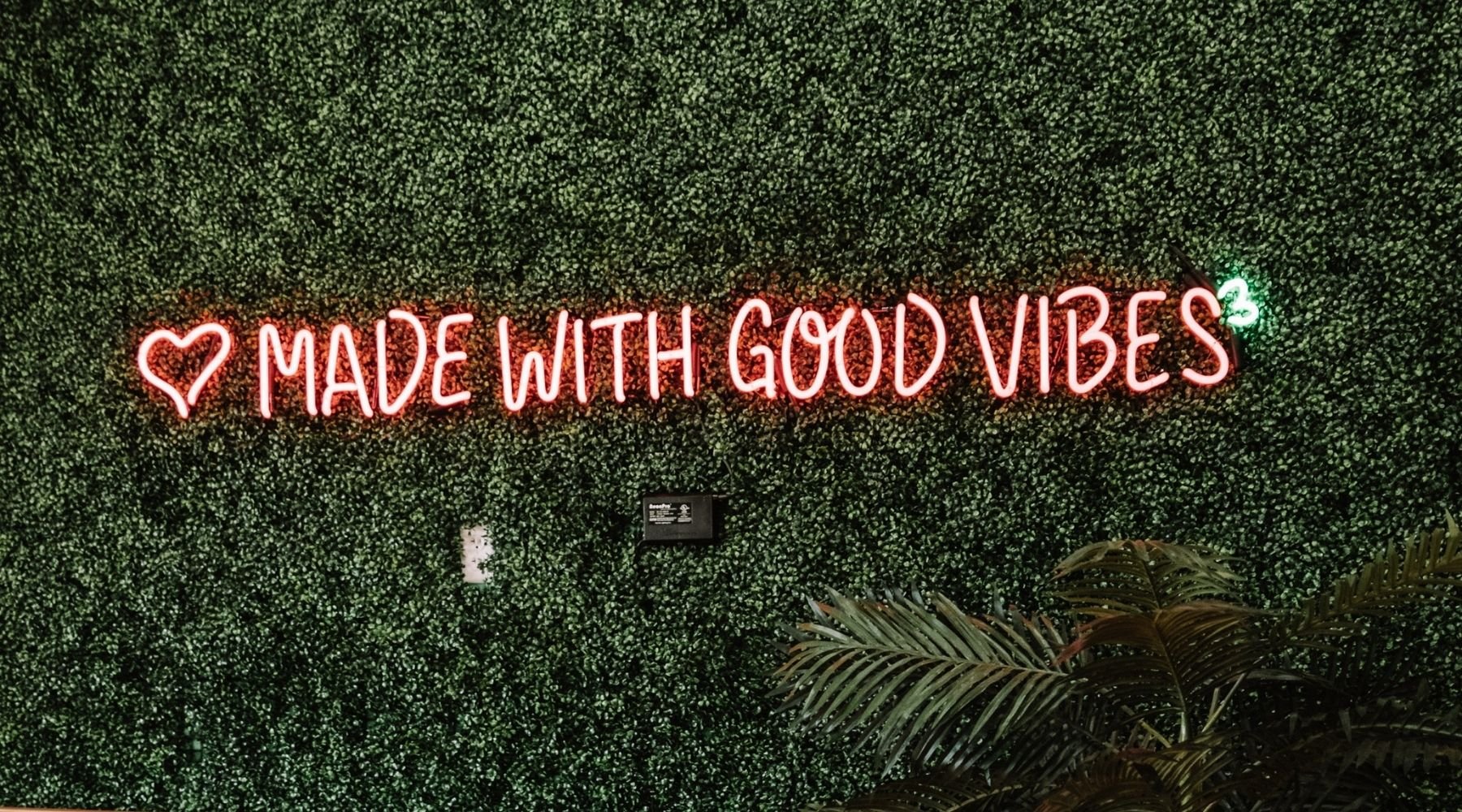 neon lights sign