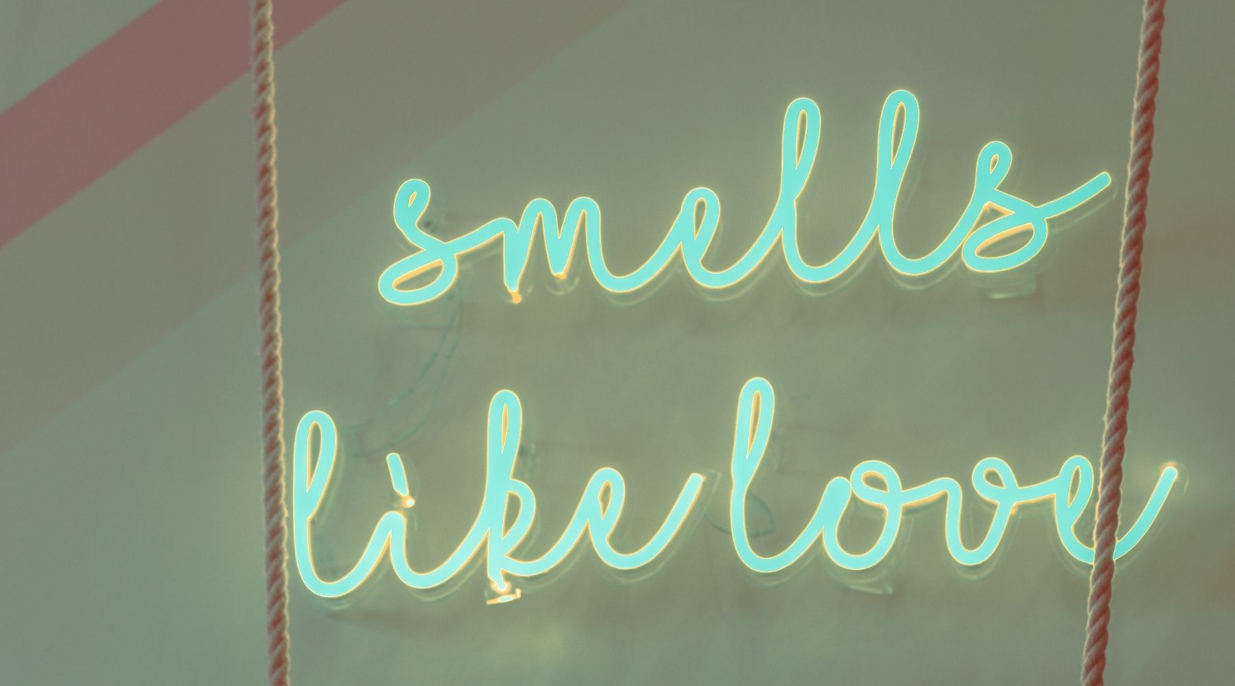 custom signs neon