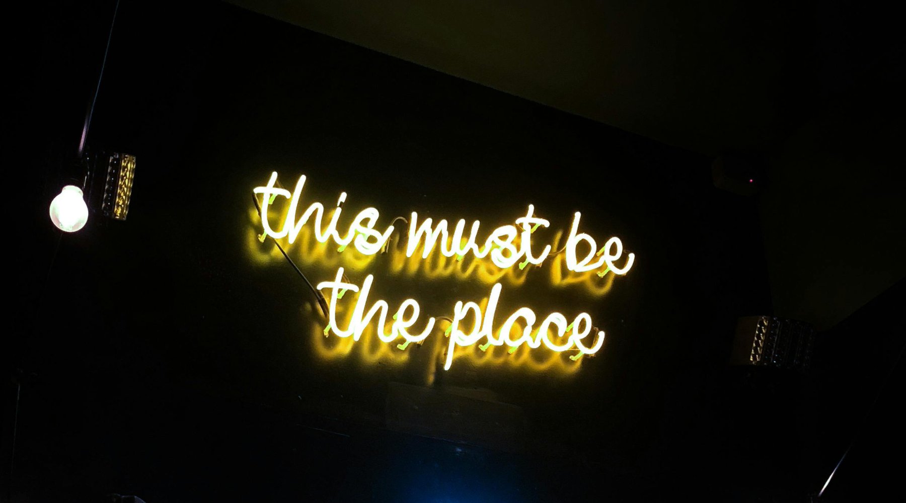 neon lighted signs