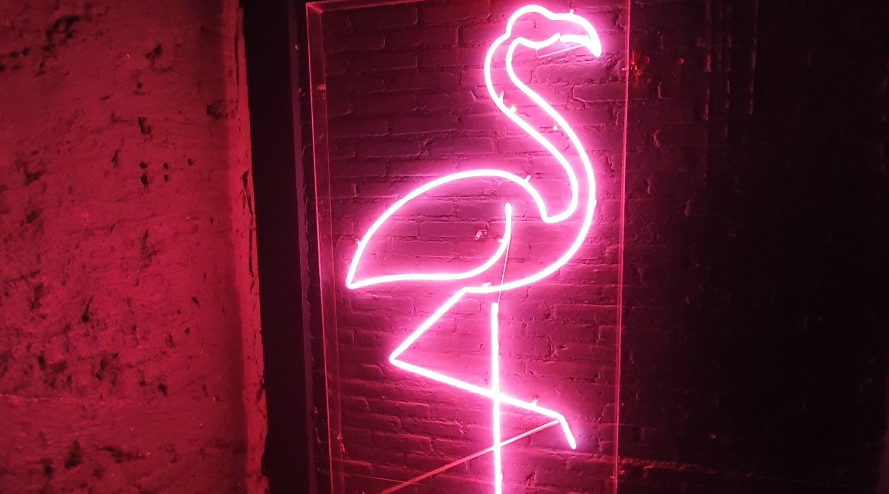 custom design neon signs