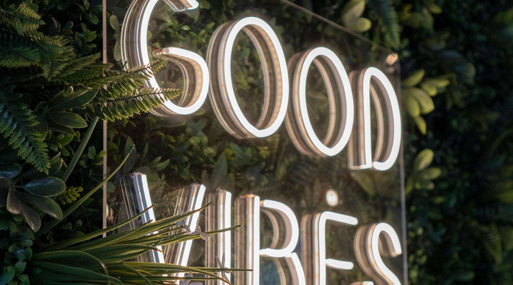 customisable neon sign