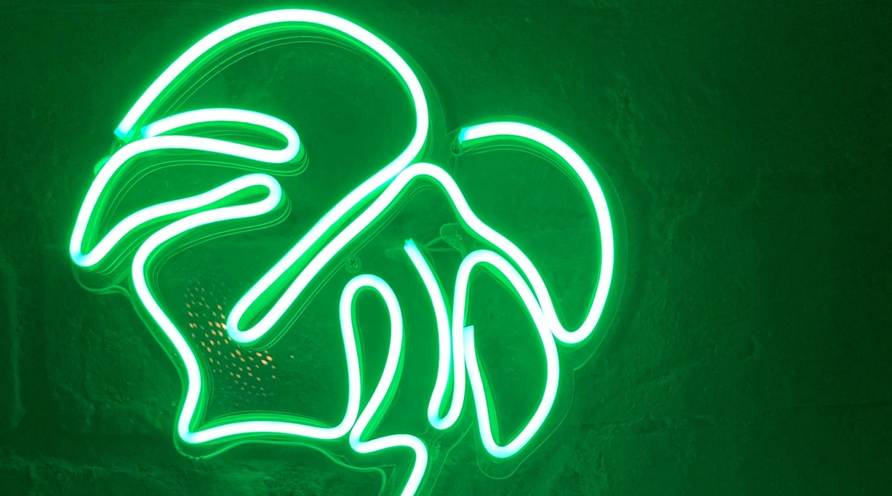neon signage Australia