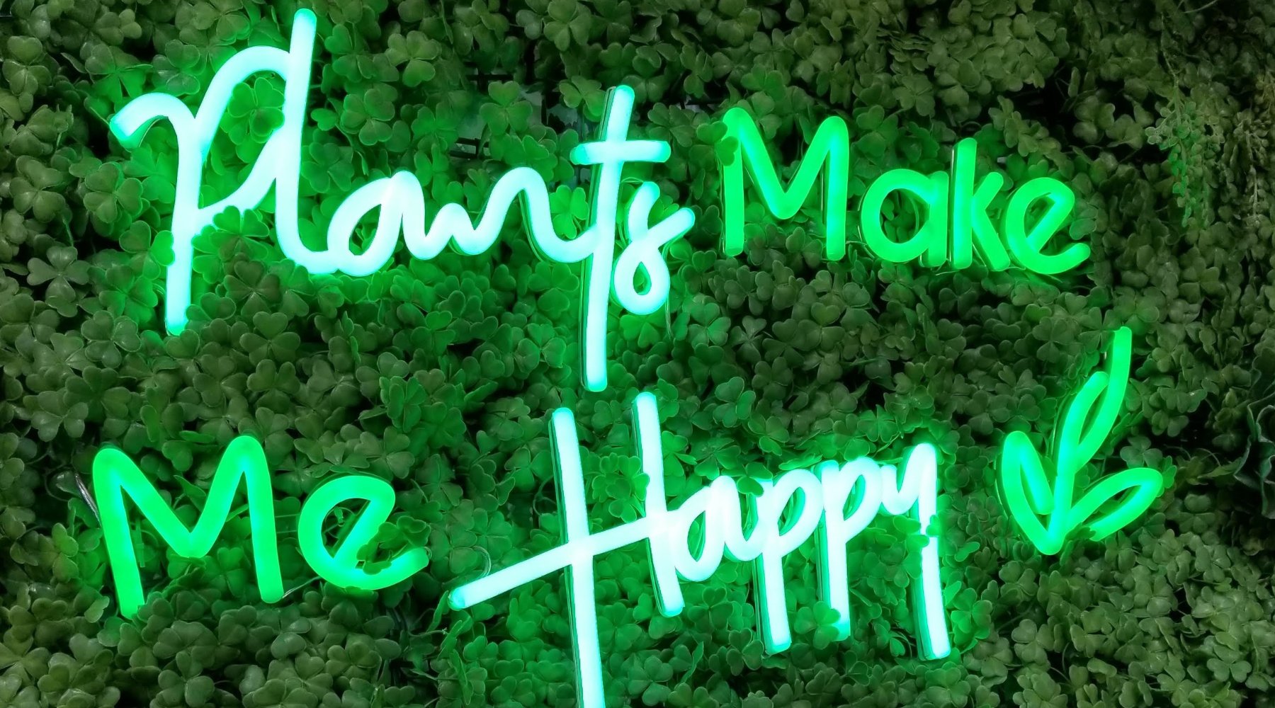 LED neon signs